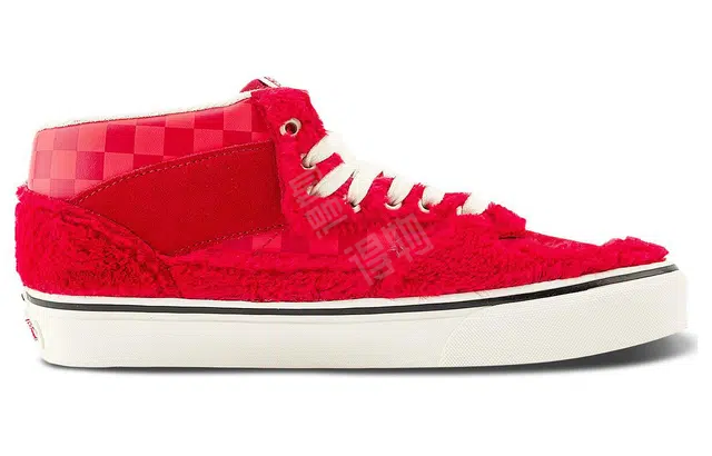 Vans Half Cab