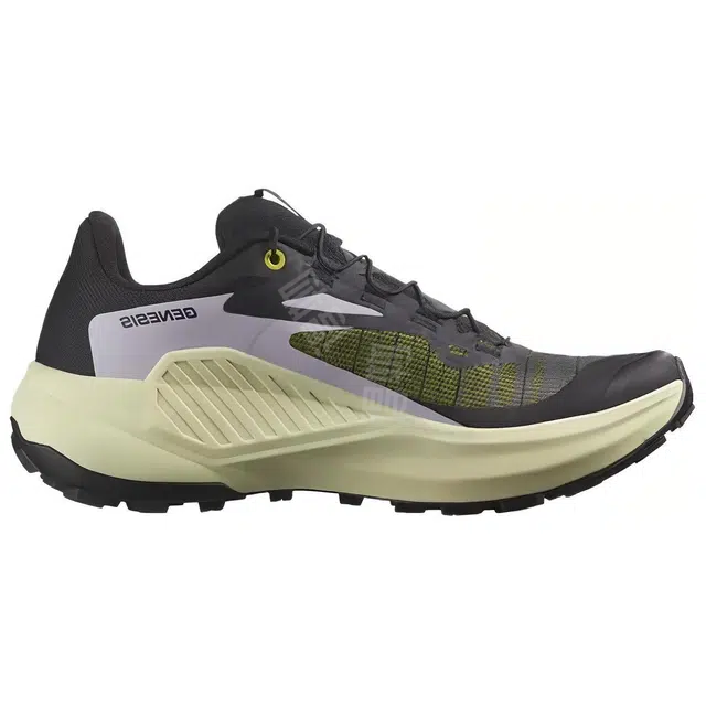 SALOMON GENESIS