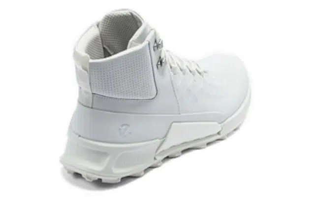 ecco 2.1