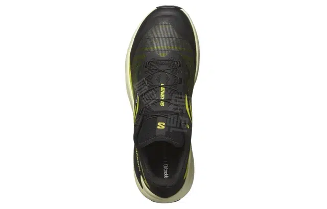 SALOMON Genesis