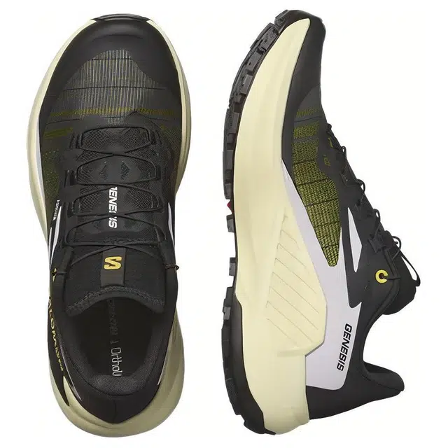 SALOMON GENESIS