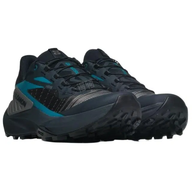 SALOMON Genesis