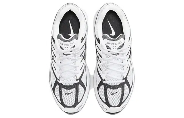 Nike Air Pegasus 2005