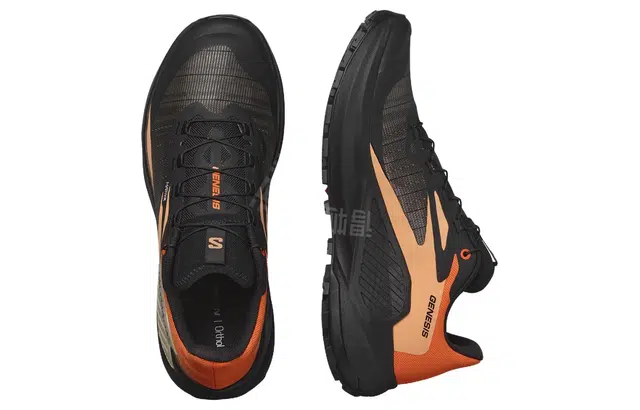 SALOMON Genesis