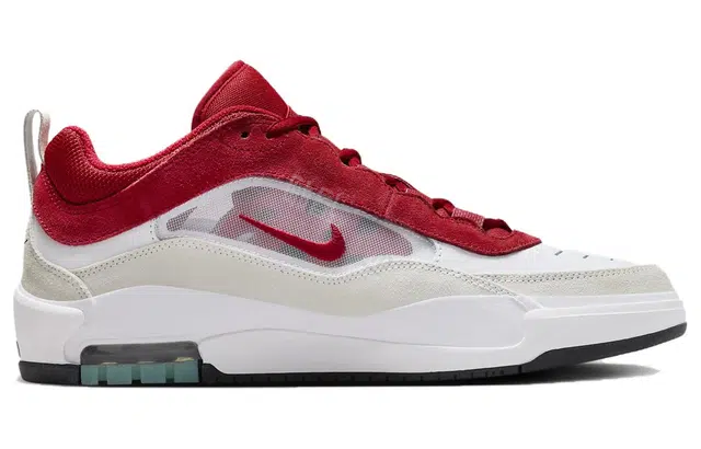 Nike SB Ishod 2