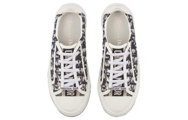 DIOR Walk'n'Dior Oblique