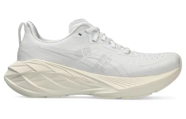 Asics Novablast 4