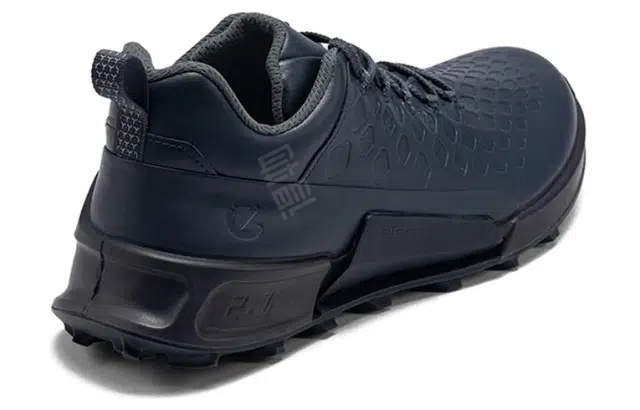 ecco 2.1