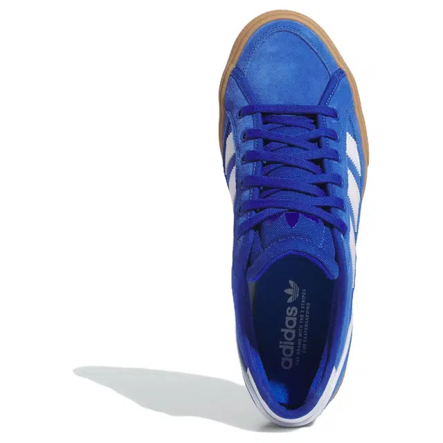 adidas originals Premiere COURT TNS