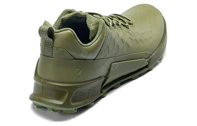 ecco 2.1