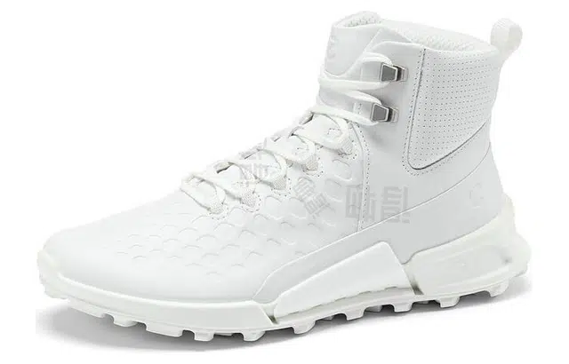 ecco 2.1