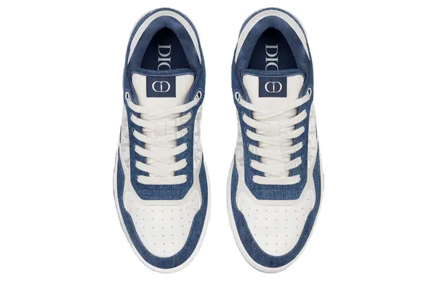 DIOR B27