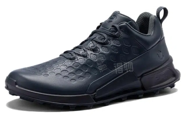 ecco 2.1