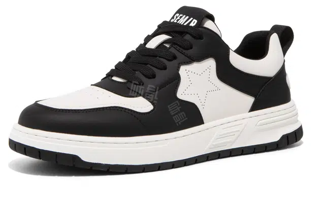 SEMIR
