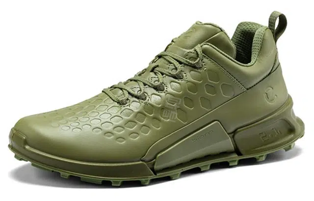 ecco 2.1