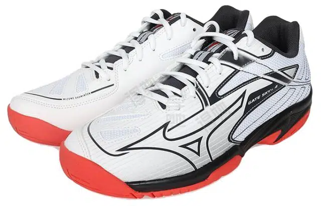 Mizuno