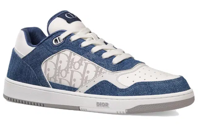 DIOR B27