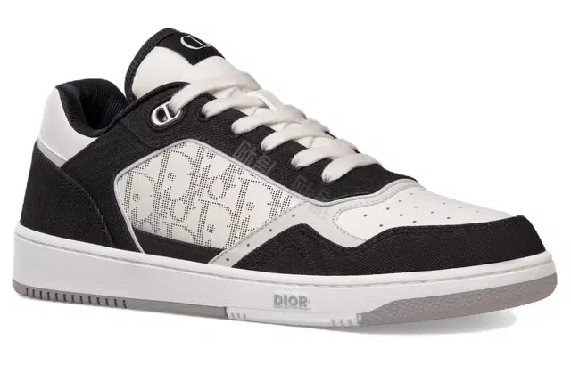 DIOR B27