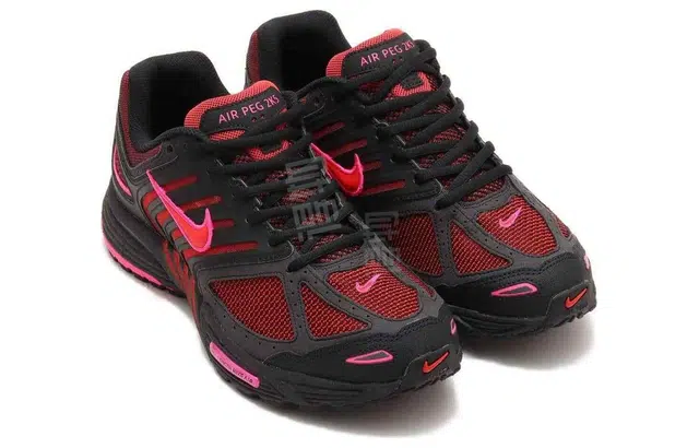 Nike AIR PEGASUS 2K5