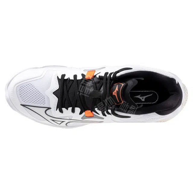 Mizuno