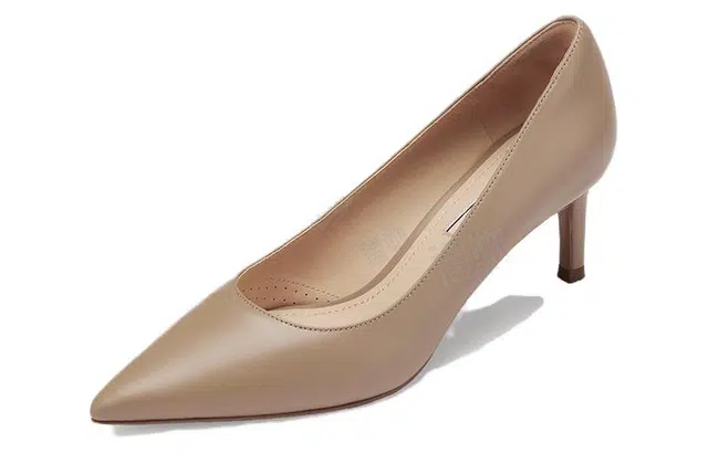 73Hours Brittany 6.5cm