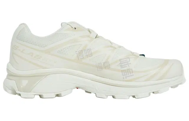 SALOMON XT-6