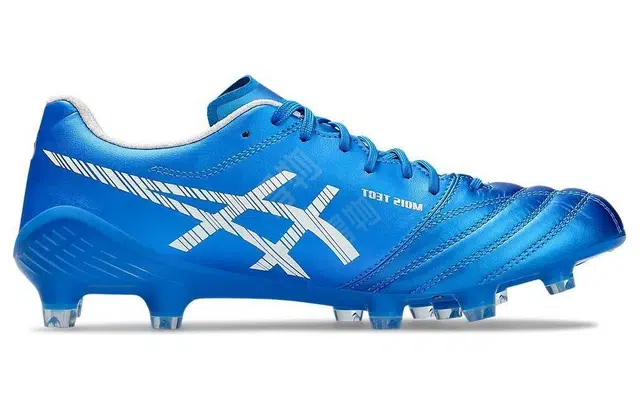 Asics ICIN