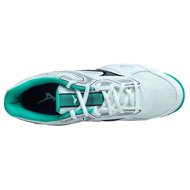 Mizuno