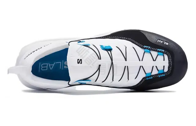 Superstar zebra low-top sneakers
