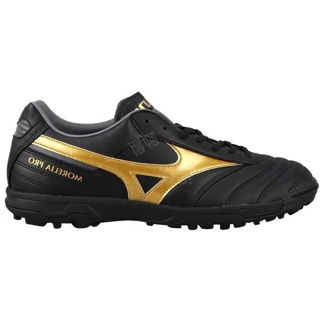 Mizuno Pro 2 Pro TF