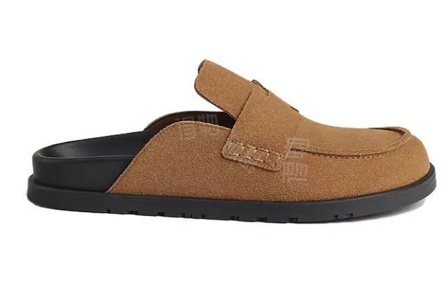 HERMES Go