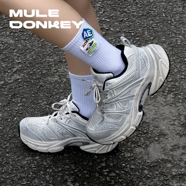 Mule Donkey