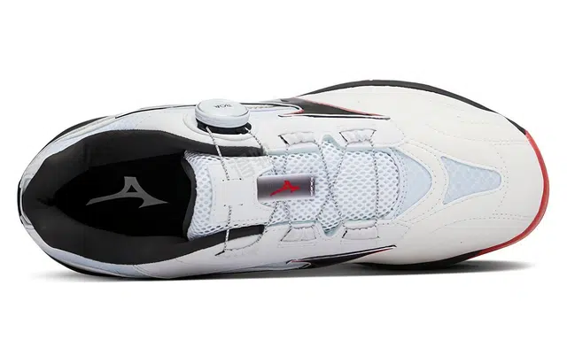 Mizuno