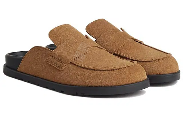 HERMES Go