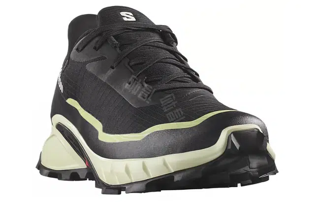 SALOMON CROSS