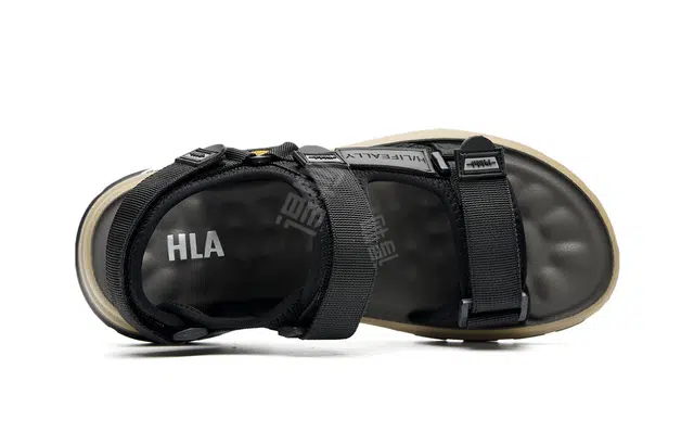 HLA 2024
