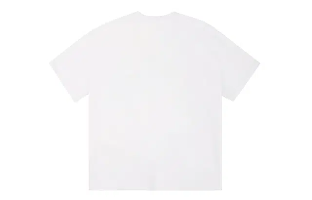 ICONS Lab ICS T