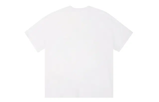 ICONS Lab ICS T