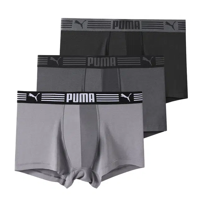 PUMA 3