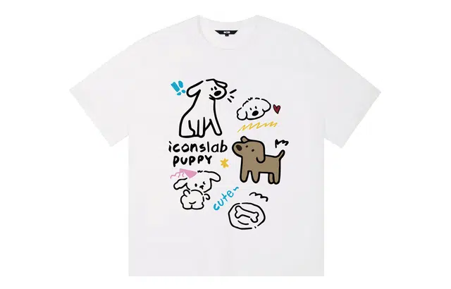 ICONS Lab T