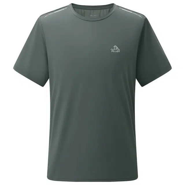 PELLIOT T