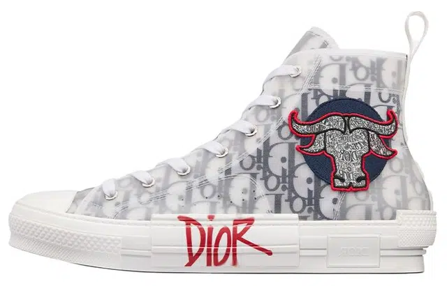 DIOR B23