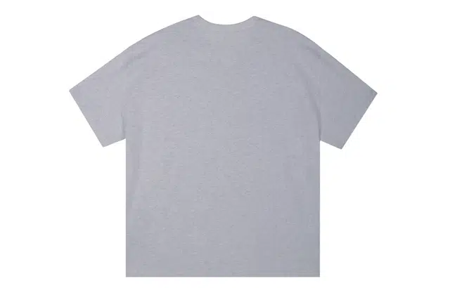 ICONS Lab ICS T