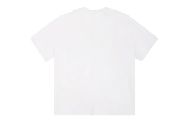 ICONS Lab ICS T