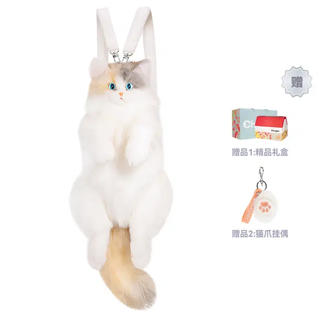Chongker 50cm