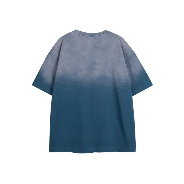 PINSCIO ZENIE T