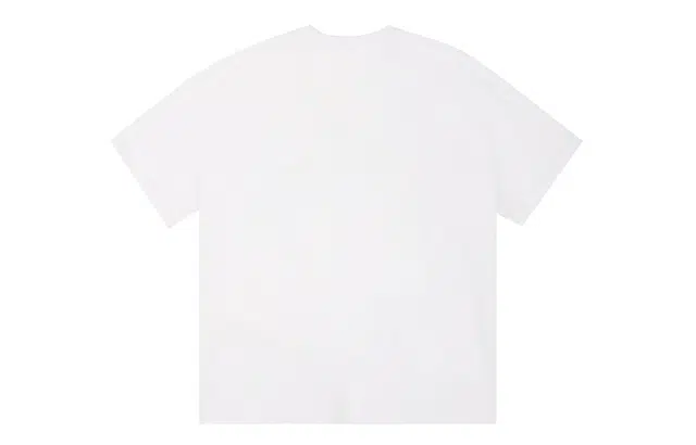 ICONS Lab ICS T