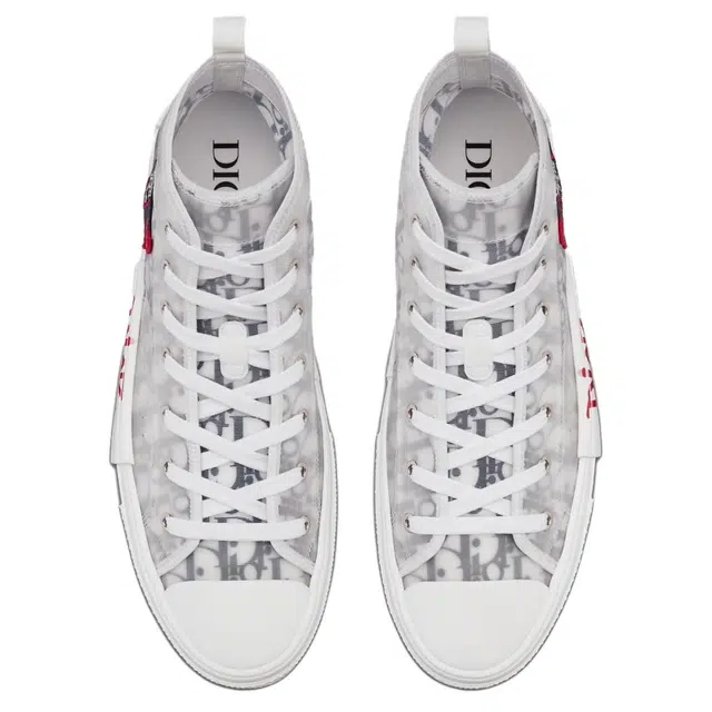 DIOR B23
