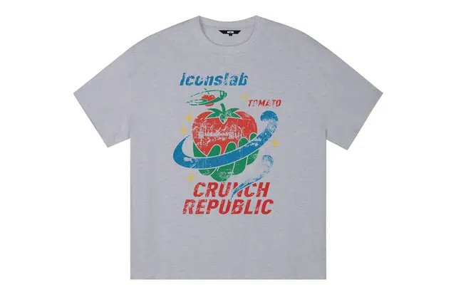 ICONS Lab ICS T