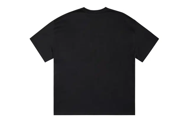 ICONS Lab ICS T